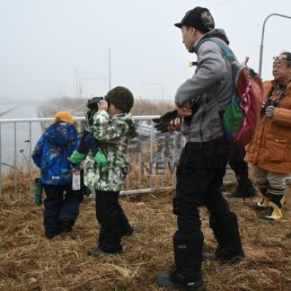 親子で野鳥観察を　霧多布湿原センター、参加募集【浜中町】(2026-01-21)