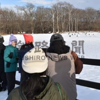 鶴居小児童も調査に協力　タンチョウ越冬分布、生態改めて学ぶ【鶴居村】(2026-01-24)