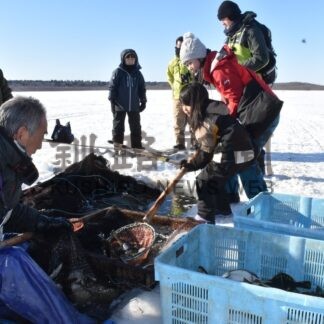 風蓮湖でオオワシ撮影　氷下待網漁を見学【根室市】(2026-02-10)