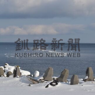 羅臼で流氷漂着　２日に確認【羅臼町】(2026-02-12)