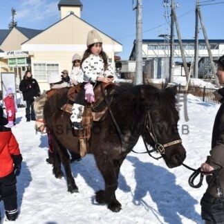 ドサンコ乗ったよ　園児体験、ＳＬおもてなしに合わせ【標茶町】(2026-02-15)