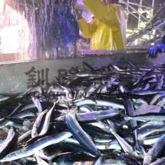 宿泊税新財源に観光強化へ　根室振興局、２６年度の独自事業公表【根室市】(2026-02-26)