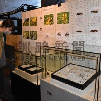 鉄道資料や希少ハチ紹介　釧路市立博物館でプレ９０周年リレー展【釧路市】_1(2026-03-03)