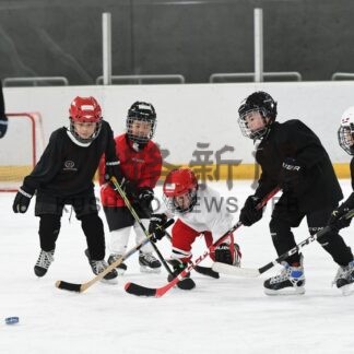 「試合が楽しかった」くしろアイスホッケー推進協が８、２０日も無料体験会【釧路市】(2026-03-07)