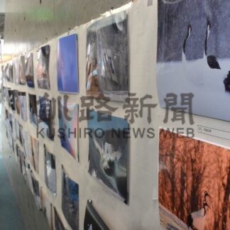伊藤さん（札幌）最優秀　阿寒国際ツルセンター、タンチョウフォトコンで【釧路市】(2026-03-10)