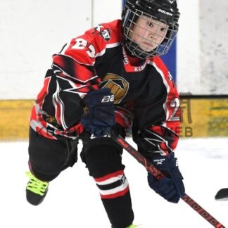 スポーツどっちも大好き③　アイスホッケー×軟式野球　村本　善君（鳥取小学校４年）【釧路市】(2026-03-14)