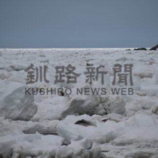 根室で流氷接岸初日　２年ぶり、平年比２２日遅く【根室市】(2026-03-17)
