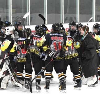 Ｄａｉｓｈｉｎ惜敗４位　釧路ベアーズは７位　全日本女子アイホ_3(2026-03-17)