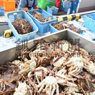タラバガニ豊漁　釧路東部海域　毛ガニ不漁も漁業者「助かる」(2026-03-22)