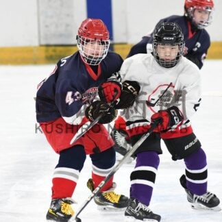 ２６～２９日にアイスホッケー全日本少年大会　釧路勢（中学生の部）２チーム参戦_2(2026-03-24)