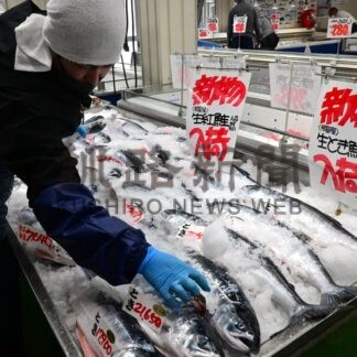 サケ・マス令和最高値　花咲市場で初競り１㌔１万２９６０円　厚岸はご祝儀相場【根室市、厚岸町】(2026-04-04)