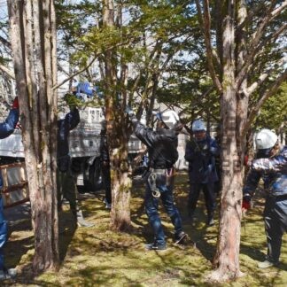 動物園内樹木を剪定　釧路造園技能士会がボランティア【釧路市】(2026-04-12)