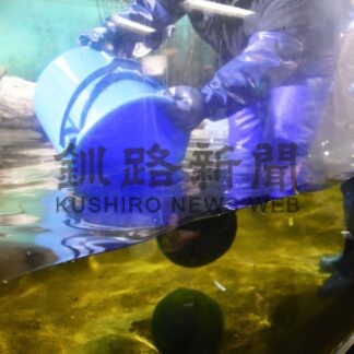 マリモ調査費などに予算　釧根地方文化財保護・活用事業　国から４０３０万円、全１０件(2026-04-14)