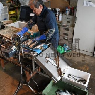 ニシン選別機を開発　篠田興業　全国初の実用化　ＡＩ用いて雌雄判別【標津町】(2026-04-18)
