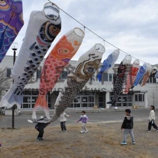 色とりどりのこいのぼり舞う　児童、保護者ら飾り付け　芦野小【釧路市】(2026-04-19)