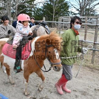 ポニー乗馬楽しむ　よしたか牧場子供向け教室　根室管内で初【標津町】(2026-04-22)