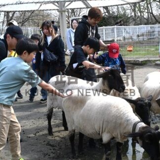 春の訪れ 行楽シーズン到来　釧路管内ＧＷガイド　６日まで動物園まつり　２９日に阿寒湖水開き(2026-04-26)
