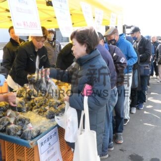 新鮮海産物求め行列　漁協加工施設に直売所開設【白糠町】(2026-04-27)