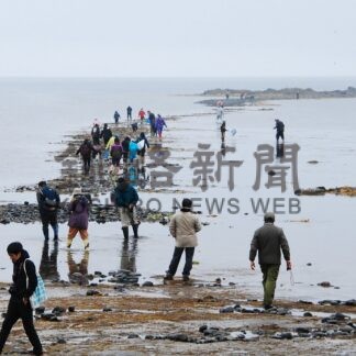〝謎の島〟渡り楽しんで　根室・温根元で１８、１９日体験イベント【根室市】(2026-04-28)