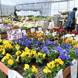 春の花や野菜の苗求めにぎわう　園芸市(2026-05-01)