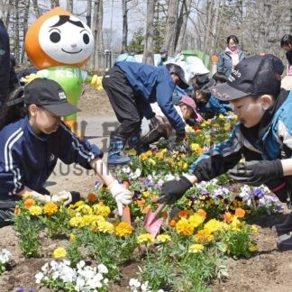 山花小中児童生徒ら動物園で植栽　人権の花運動、ビオラなど４６０株【釧路市】(2026-05-02)