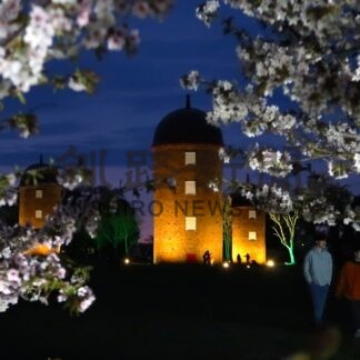 サクラとサイロ 幻想的 　明治公園ライトアップあすから【根室市】(2026-05-03)