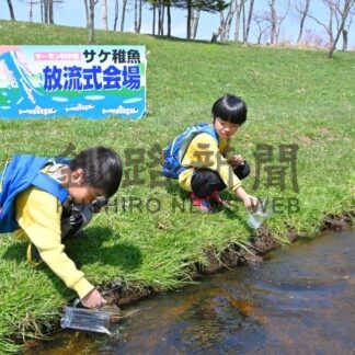 「成長して帰ってきて」　標津サーモン科学館　稚魚放流式に家族連れ参加【標津町】(2026-05-04)