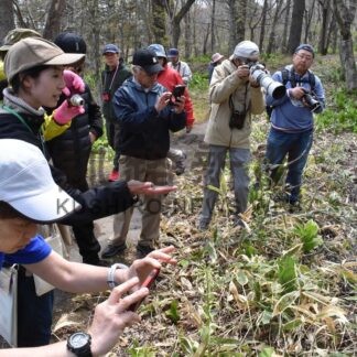 風景や動植物楽しみパシャリ　春採湖でガイド解説付き撮影会【釧路市】(2026-05-04)