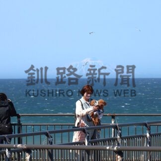 北方館、ＧＷ期間入館者８６９人増５３０４人　返還要求署名は５１７人【根室市】(2026-05-09)