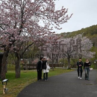 前線到来 桜とグルメ満喫　釧路地方各地でまつり_1(2026-05-10)