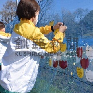 子供たちの思いで彩り　チューリップ＆花フェア実行委、防鹿ネットにカード飾る【釧路市】(2026-05-15)