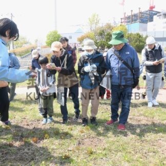 春採湖畔の草花観察　市立博物館【釧路市】(2026-05-17)