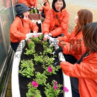 川沿いを花の散歩道に　釧商女性会、ＥＧＧ前で植栽【釧路市】(2026-05-19)