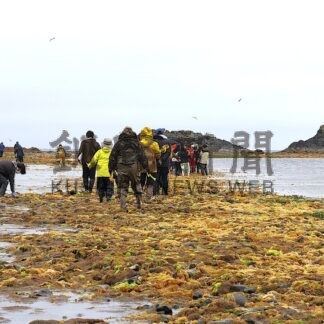 故郷の風景知って！　謎の島探検、新鮮魚介に舌鼓【根室市】(2026-05-19)