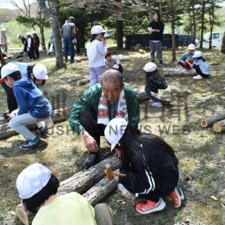 原木シイタケ作り体験　遠矢小、地域の協力受け種駒打ち【釧路町】(2026-05-24)