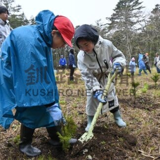 トドマツ苗１３０本植樹　真龍小、協定事業で木育学ぶ【厚岸町】(2026-05-24)