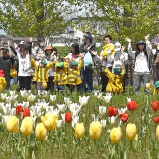 チューリップ色鮮やか　フェアにぎわう【釧路市】(2026-05-25)