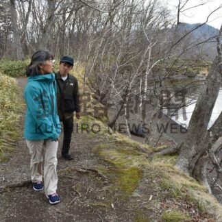 釧根初夏のさんぽ道〈２〉　和琴半島自然探勝路【弟子屈町】(2026-05-31)