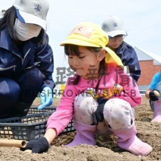 ２町で植栽と植樹(2026-05-31)