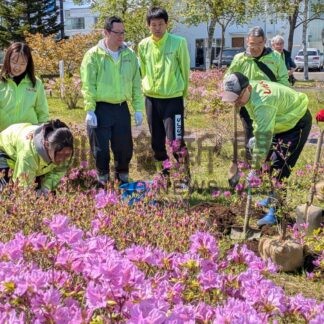 公園にツツジ植樹　釧路信組【釧路市】(2026-06-01)