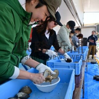 ホッキ貝早むき、優勝目指し白熱　おちいし味まつり【根室市】(2026-06-01)