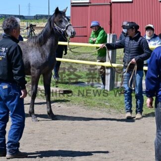 馬を学び信頼関係築く　関わり方や基礎伝授　根釧乗用馬生産育成振興会【根室市】(2026-06-02)