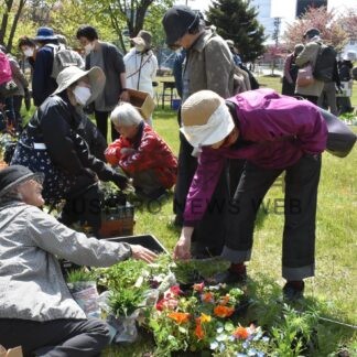 宿根草通し愛好家交流　釧路で交換・即売会【釧路市】(2026-06-03)