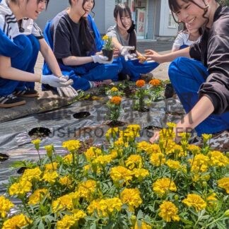 ベゴニアなど４２０株植栽　釧路東高生、地域貢献活動で花壇造成【釧路町】(2026-06-04)