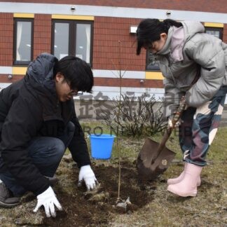 北海道の森林 未来に　花咲港小児童　根室振興局と植樹【根室市】(2026-06-07)