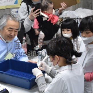 歯医者さんの仕事体験　健康フェア、家族連れでにぎわう【釧路市】(2026-06-08)