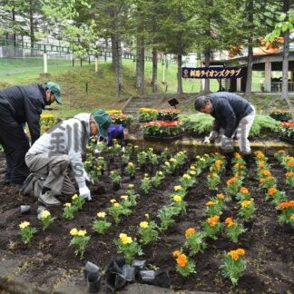 動物園花壇に花苗１０００株植栽　釧路ライオンズクラブ【釧路市】(2026-06-08)