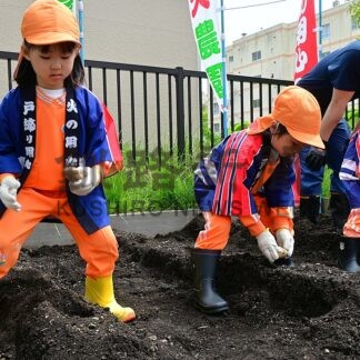 幼年消防クがイモ植え　根室市消防本部　防火農園で開園式【根室市】(2026-06-08)
