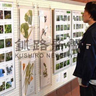春採湖畔の植物 生態紹介　釧路市立博物館企画展　標本とパネル展示【釧路市】(2026-06-08)
