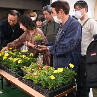 初夏彩る花プレゼント　きょう卵格安販売　釧路和商イベント【釧路市】(2026-06-13)